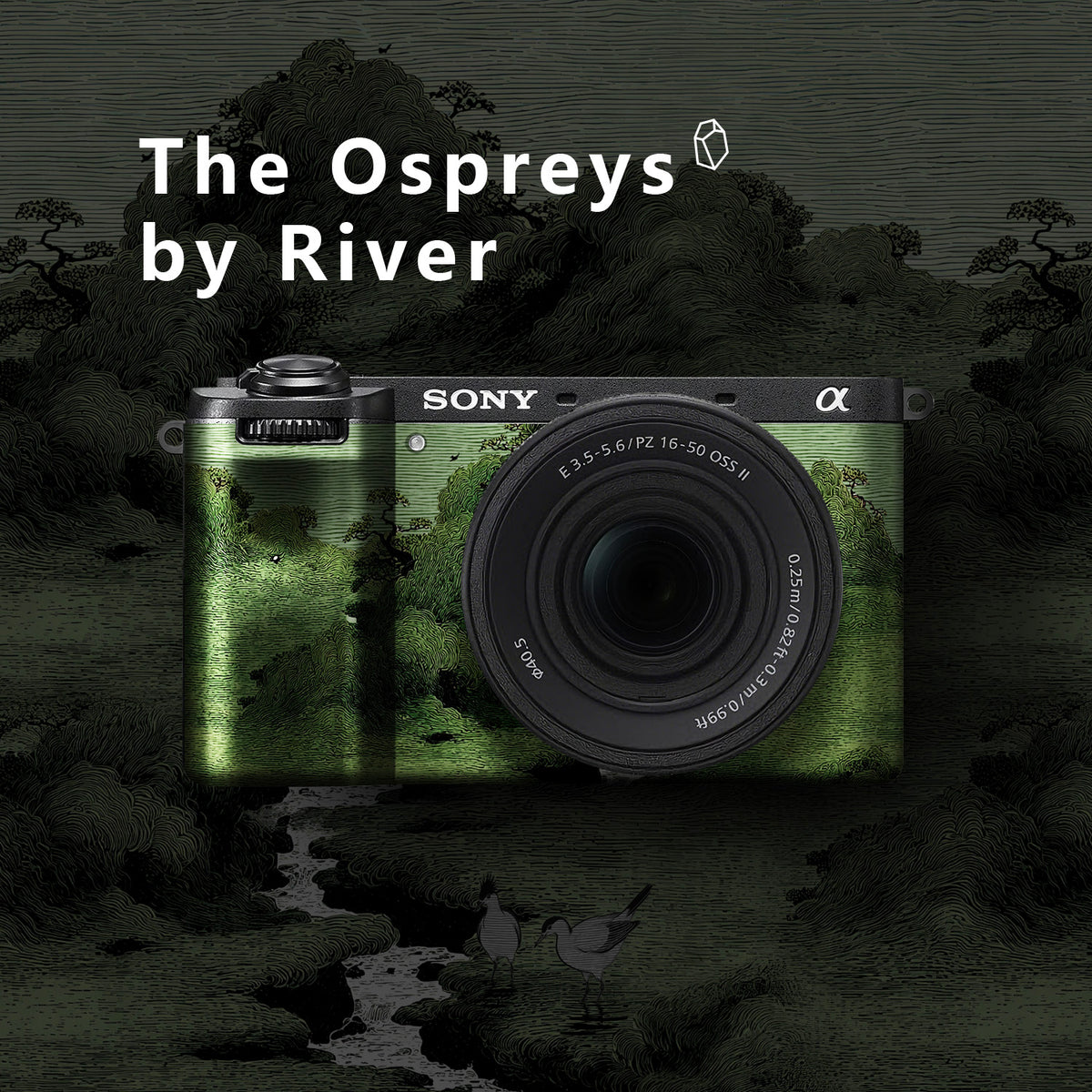 A6700 Camera Skin