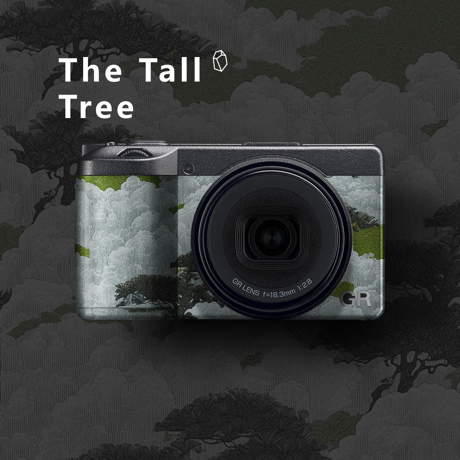 GR4 GRIV Camera Skin