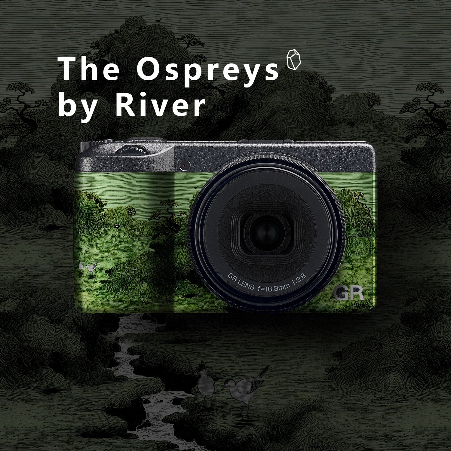GR4 GRIV Camera Skin