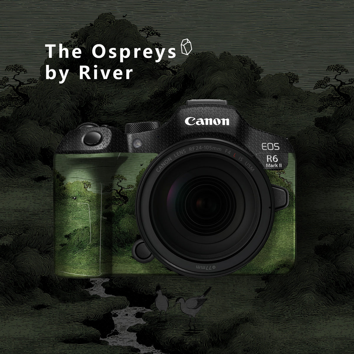 R6II Camera Skin